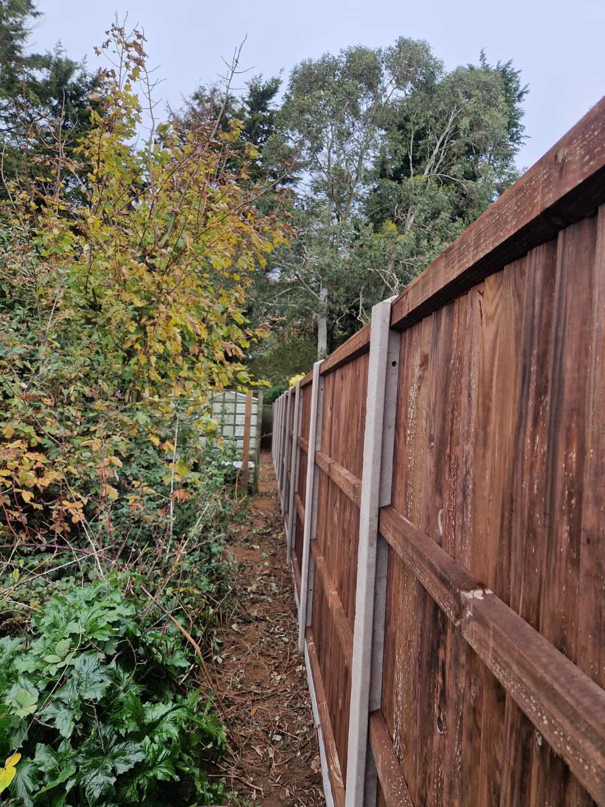 Landscaping Services in Norwich